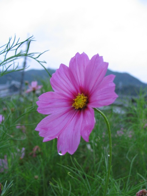 d0081210_14352045.jpg
