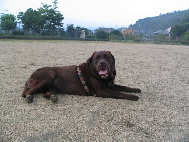 d0081210_14362724.jpg