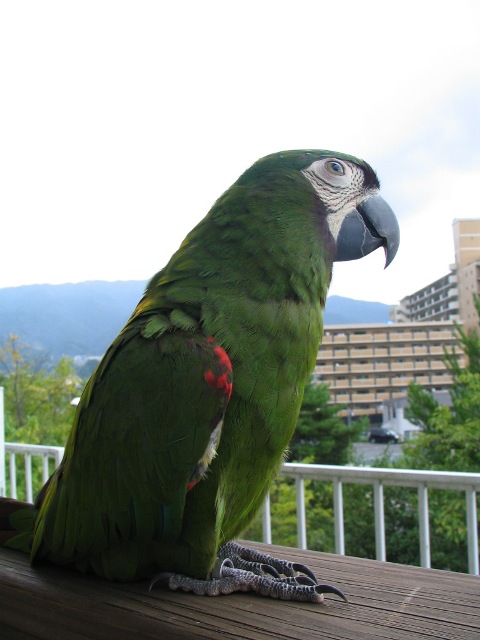 d0081210_14393467.jpg
