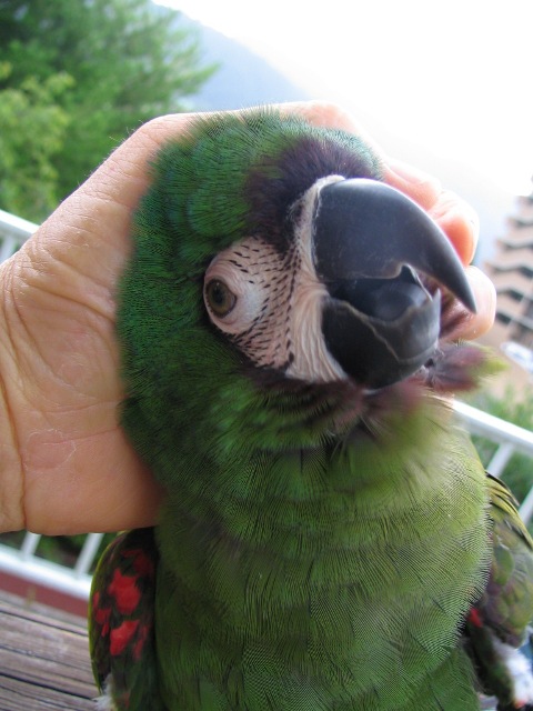 d0081210_1440314.jpg