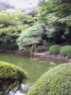 a0015614_159369.jpg