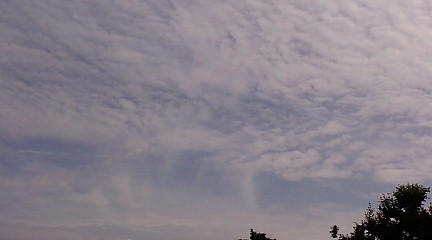 f0126418_16592748.jpg