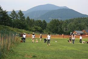 e0013419_173888.jpg