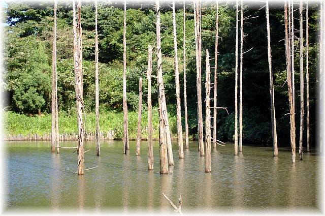d0083623_0464132.jpg