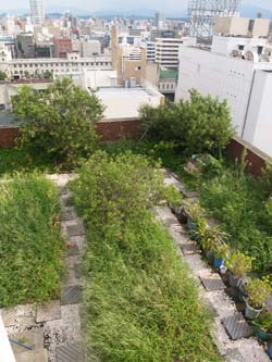 f0031024_1582283.jpg