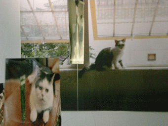 c0019433_11112873.gif
