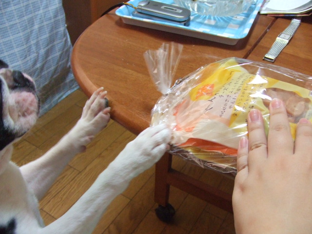 f0059334_8335537.jpg
