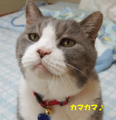 f0008935_0413796.gif