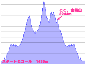 d0107938_13233313.gif
