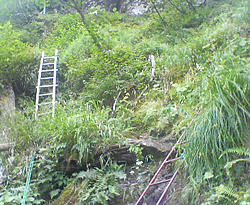 d0107938_133233100.jpg