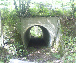 d0107938_13451824.jpg