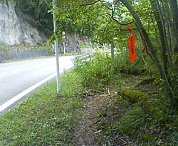 d0107938_13464372.jpg