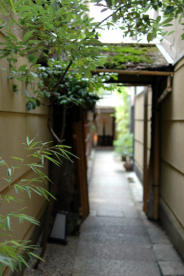d0008146_0131988.jpg
