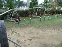 e0126046_2314880.jpg