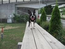 e0126046_23173616.jpg
