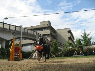 e0126046_23212516.jpg