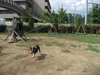 e0126046_23235227.jpg