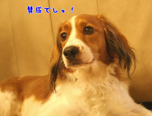 d0013149_0533440.jpg