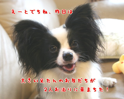 d0013149_1184418.jpg