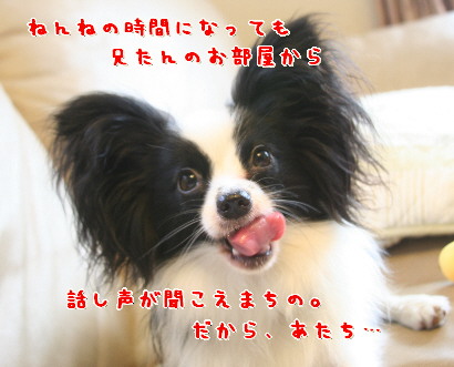 d0013149_130403.jpg
