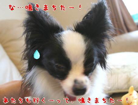 d0013149_1355057.jpg