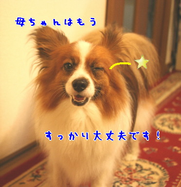 d0013149_16195.jpg