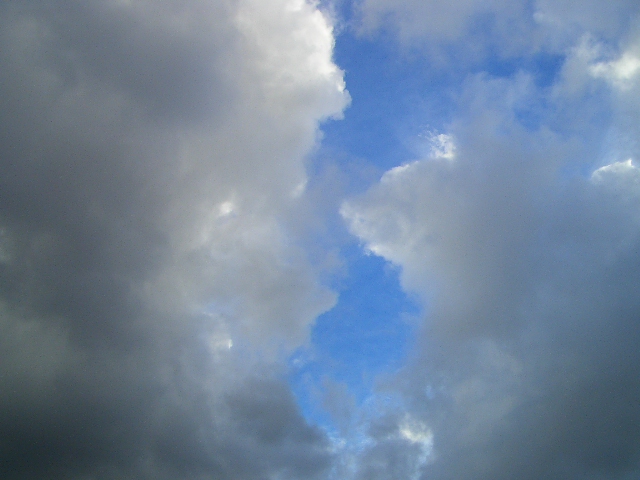 e0002850_237506.jpg