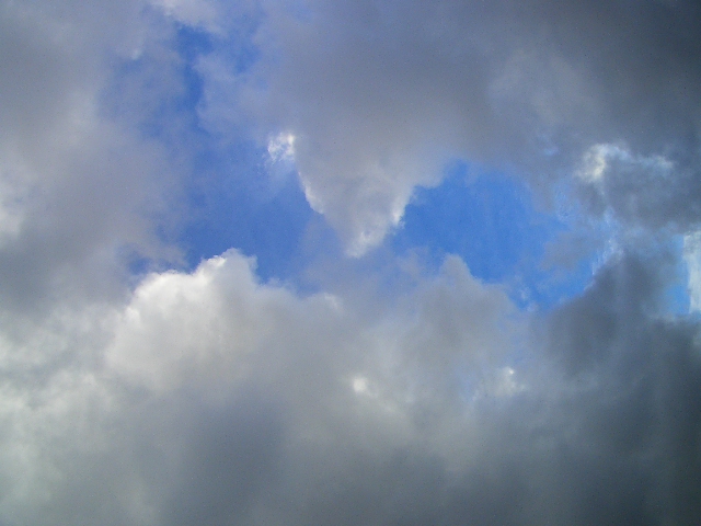 e0002850_238753.jpg