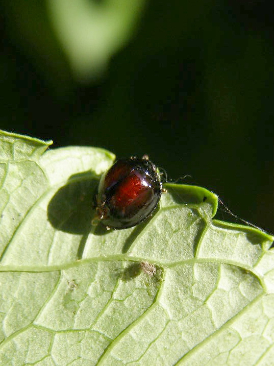 e0064158_0233244.jpg