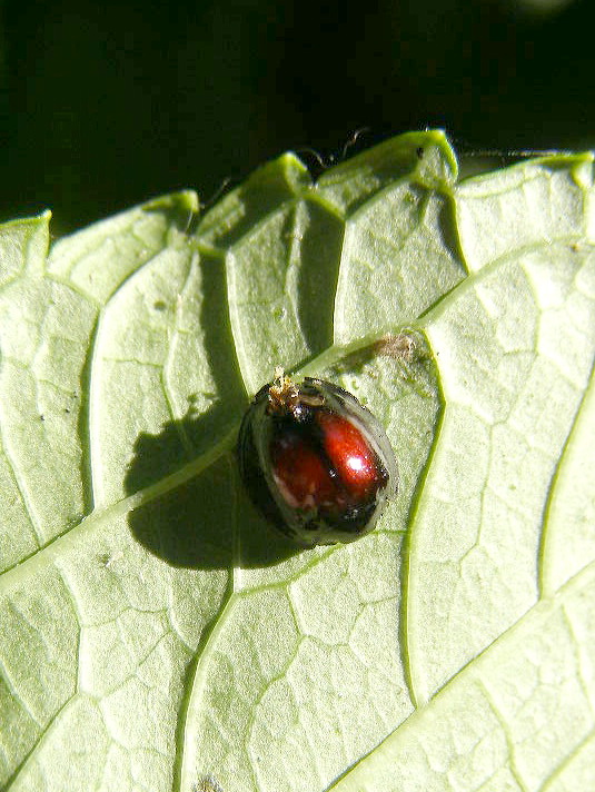 e0064158_025179.jpg