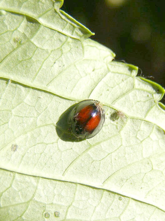 e0064158_0254147.jpg