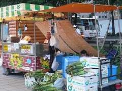 c0089360_0145743.jpg