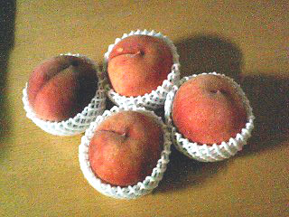 f0099367_1523054.jpg