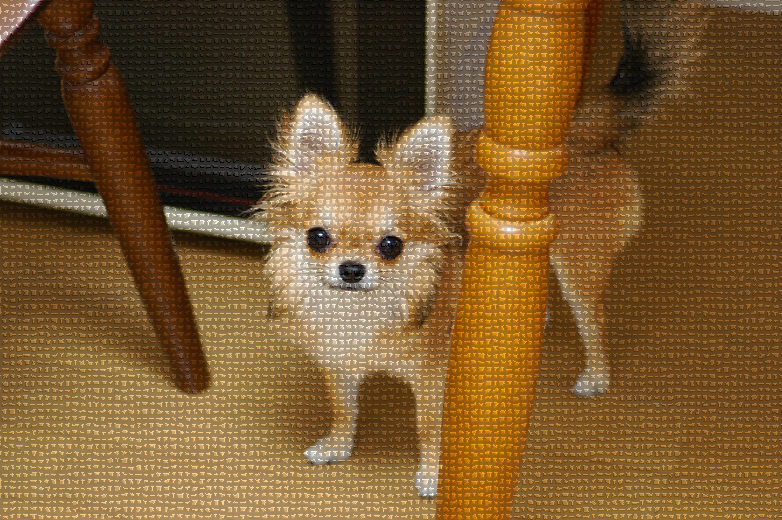 c0026870_20222028.jpg