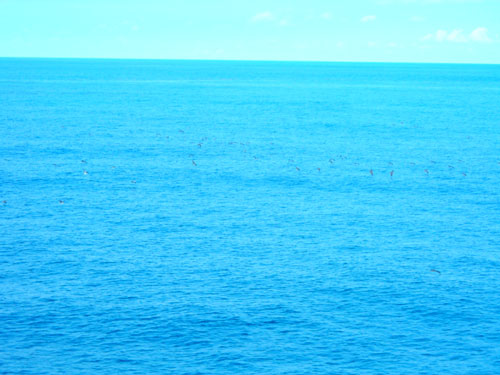 e0097770_2333667.jpg