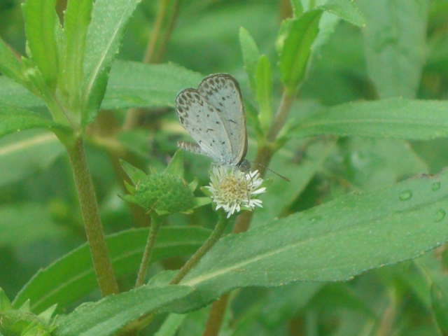 f0137275_2463232.jpg