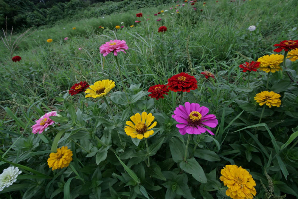 a0083081_17583483.jpg