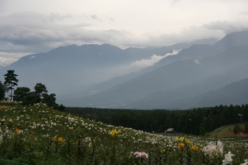 e0024081_11492572.jpg