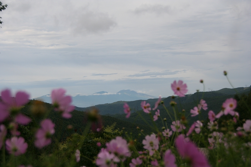 e0024081_11573663.jpg