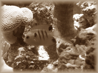 e0115283_23123911.jpg