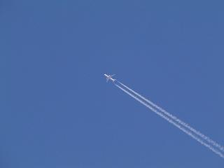 f0014183_112122.jpg