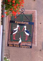f0060585_99511.jpg