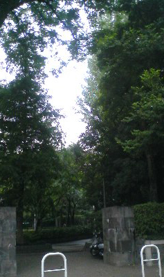 d0092990_153972.jpg