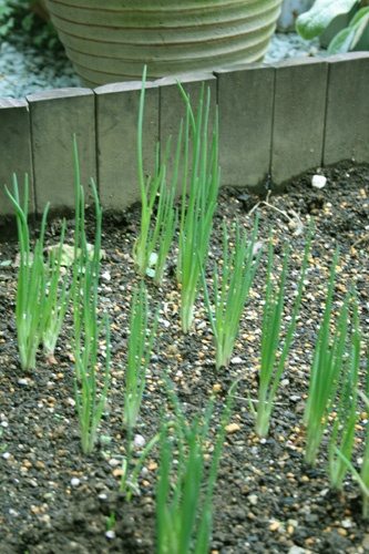 c0040891_14582272.jpg