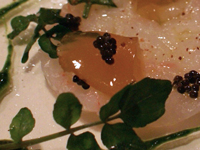 c0043094_2321716.jpg