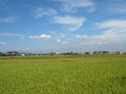 a0044202_20232295.jpg