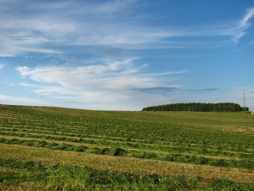 f0020302_20134545.jpg