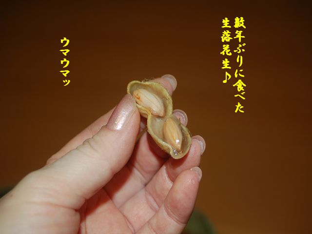 e0094407_1245930.jpg