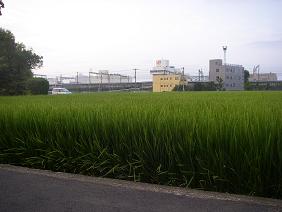 c0097309_10521094.jpg