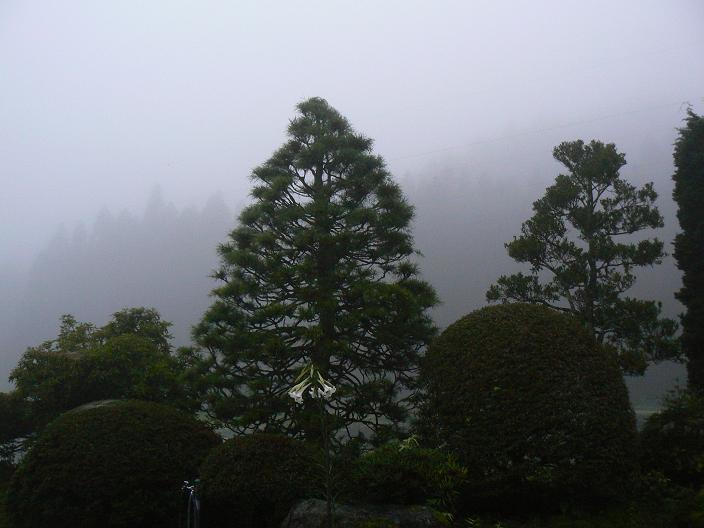 c0086014_21432023.jpg